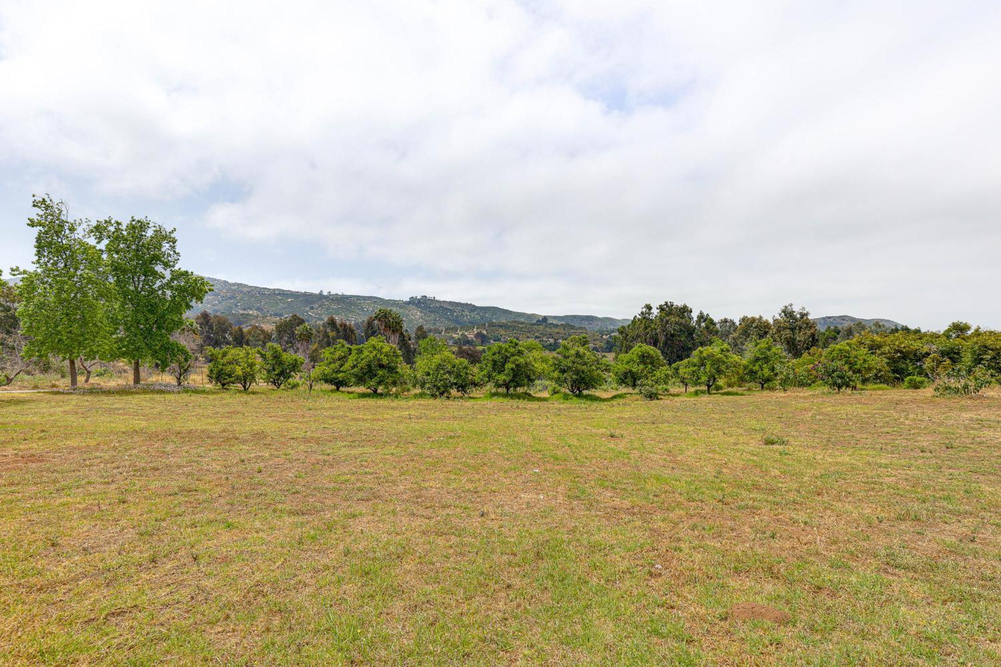 Escondido Vineyard Estate Walk To Wineries! Vila Exterior foto