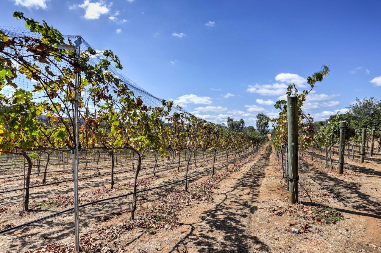 Escondido Vineyard Estate Walk To Wineries! Vila Exterior foto