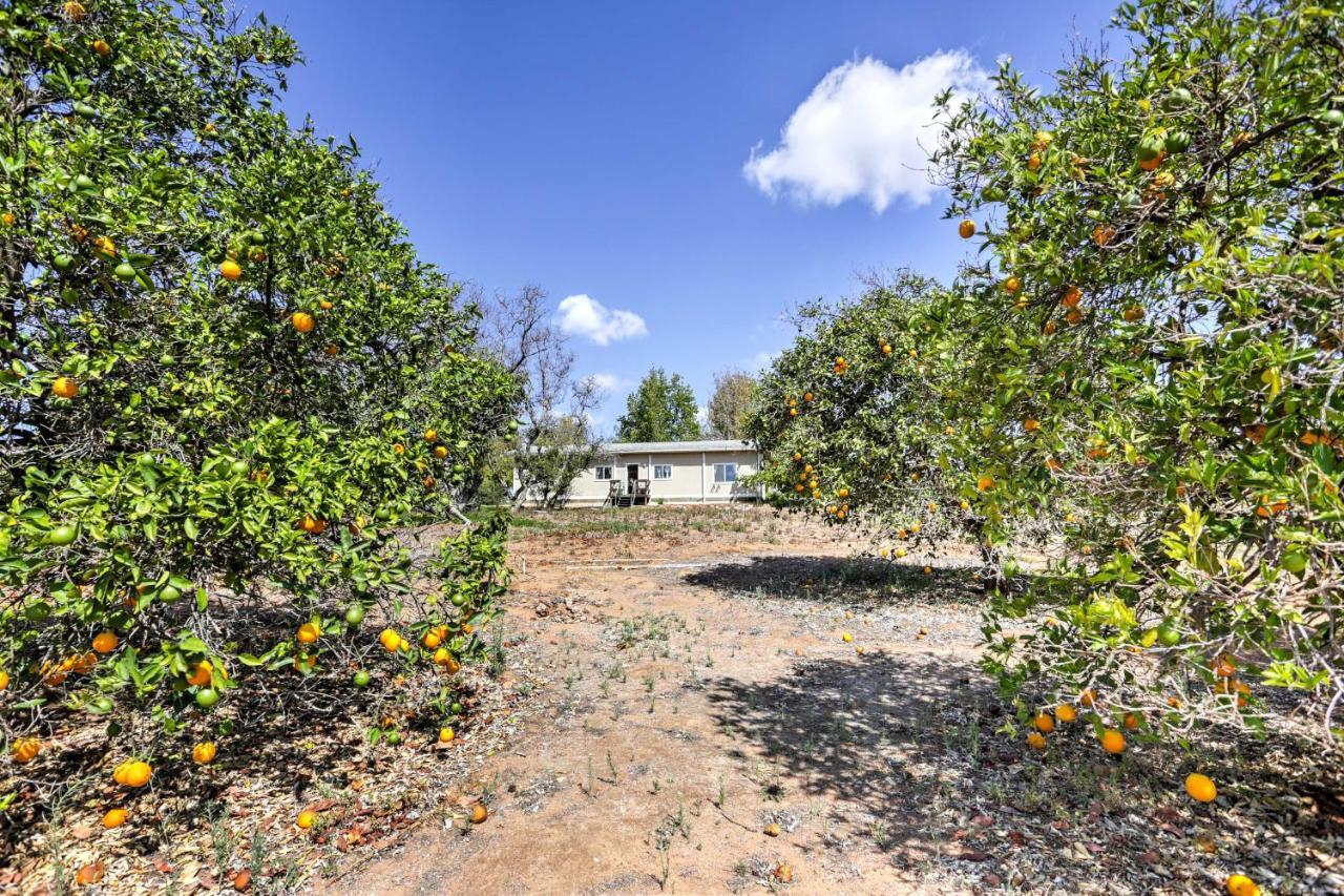 Escondido Vineyard Estate Walk To Wineries! Vila Exterior foto